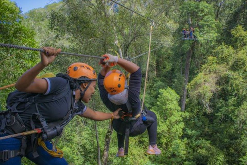 Storms River: Tsitsikamma National Park Zipline Canopy Tour - Group Size and Starting Times
