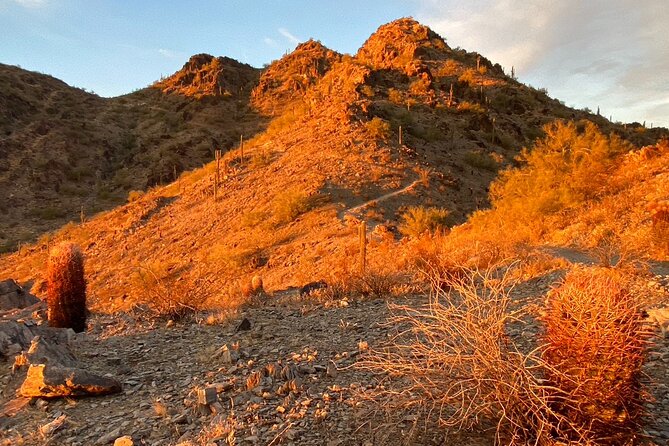 Stunning Sunrise or Sunset Guided Hiking Adventure in the Sonoran Desert - Pricing and Booking Information