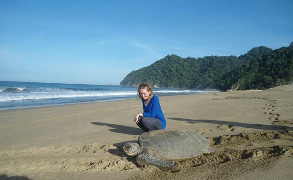 Sukamade: A Private Tour To See Turtle Lay Egg (2D/1N) - Booking Details