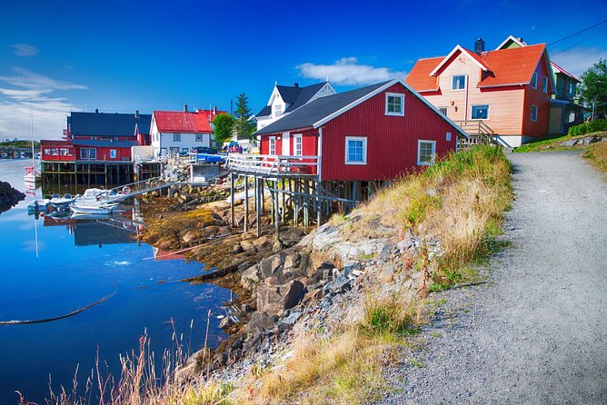 Summer Full-Day Guided Tour of the Lofoten Islands - Inclusions and Amenities