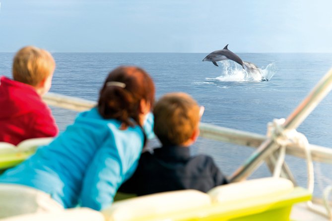 Sunrise Boat Trip in Mallorca With Dolphin-Watching - Customer Reviews and Ratings