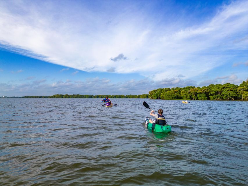 Sunrise Kayaking on the Negombo Lagoon - Experience Highlights