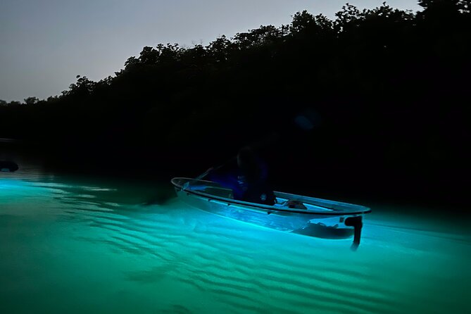 Sunset and Glow Clear Kayak Tour in North Naples - Meeting and Pickup