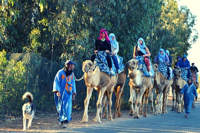 Sunset Camel Ride and Barbecue Dinner in Agadir - Traveler Feedback