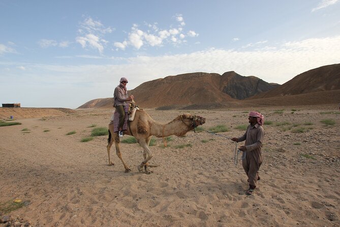 Sunset Camel Ride in Agadir or Taghazout With Transfers - Photo Gallery