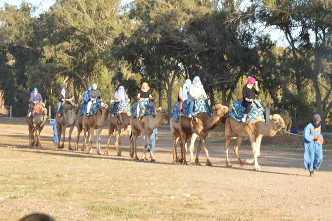 Sunset Camel Ride in Agadir With Transport, Tea and Cakes. - Booking Information