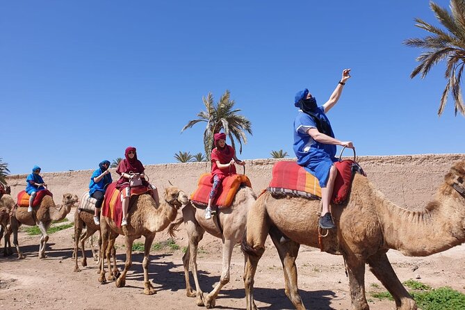 Sunset Camel Ride Marrakech Palmeraie - Experience Details