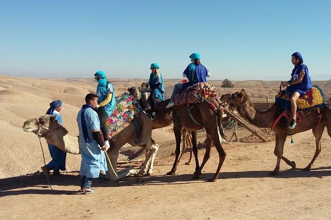 Sunset Camel Ride Tour In Agafay Desert With Dinner - Expectations and Logistics