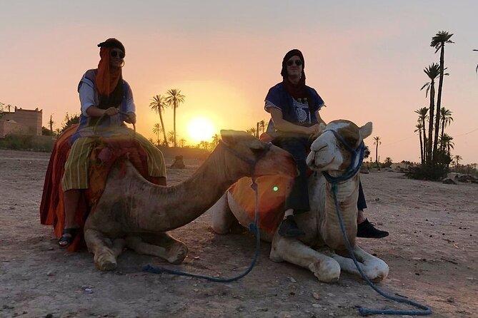 Sunset Camel Ride Tour in Marrakech Palm Grove - Booking Details