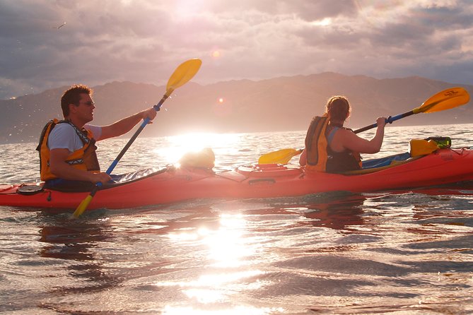 Sunset Evening Kayaking Tour - Kaikoura - Equipment Included