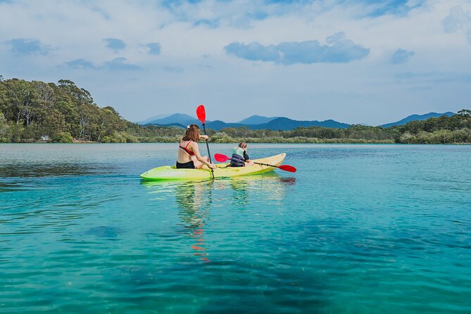 Sunset Kayak Eco Tour With Marine Scientist - What to Bring