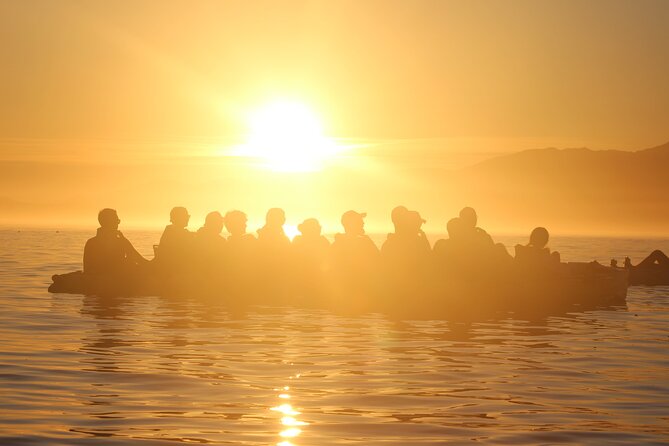 Sunset Kayak Tour in Kaikoura - Accessibility Information