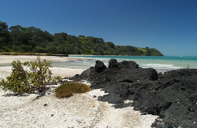 Sunset Kayak Tour to Rangitoto Island - Preparations and Requirements