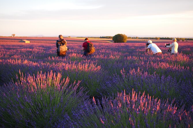 Sunset Lavender Tour From Aix-En-Provence - Guides Expertise and Accommodation