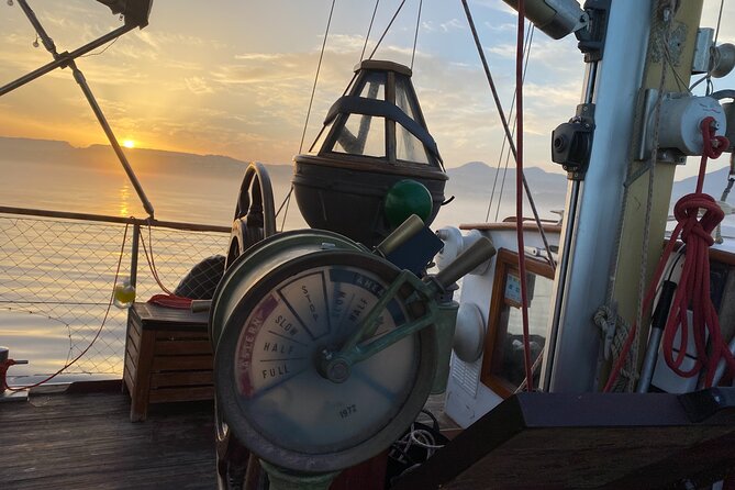 Sunset Sailing Experience in Estepona - Traveler Feedback