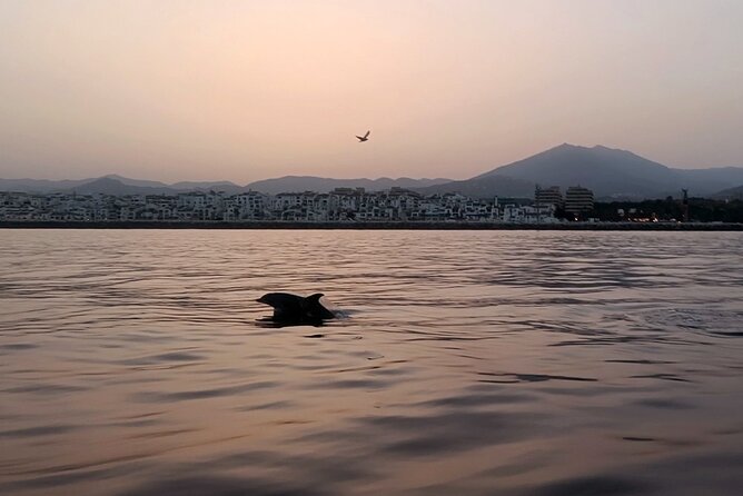 Sunset Sailing on a Private Sailboat Puerto Banús Marbella - Additional Details