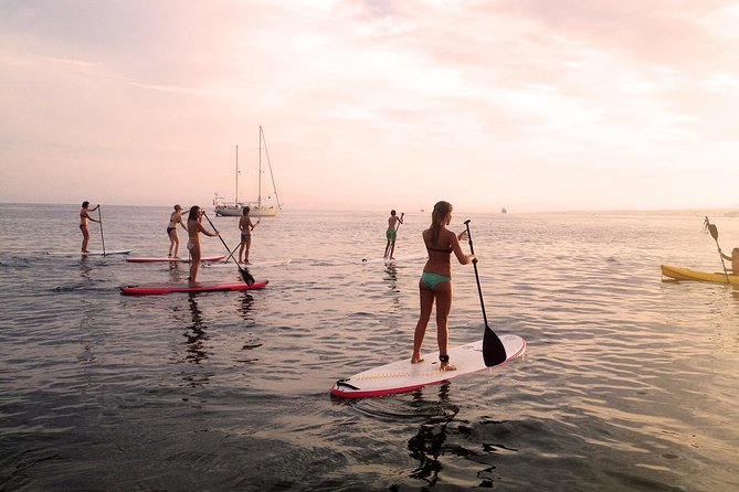 Sunset SUP Tour in Marbella - Booking Information