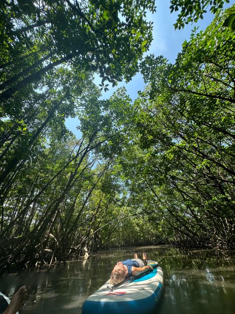 SUP at Mangroves Forest - Location and Meeting Point