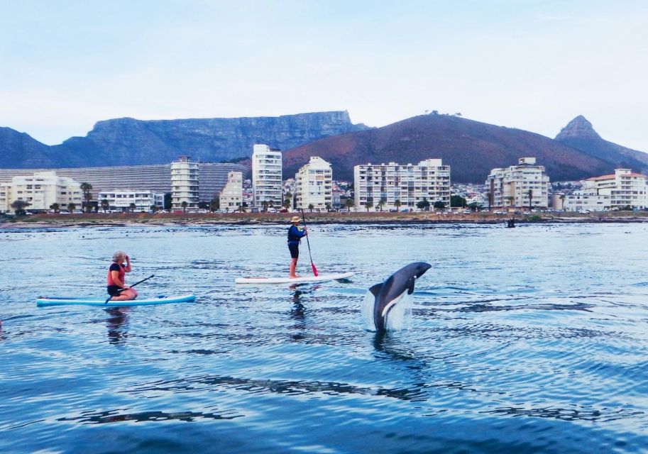 SUP Ocean Tour - Experience Highlights