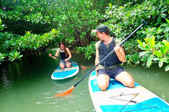 SUP or Canoe Tour From Ishigaki Island to the Mythical Island (Mar ) - Equipment and Gear