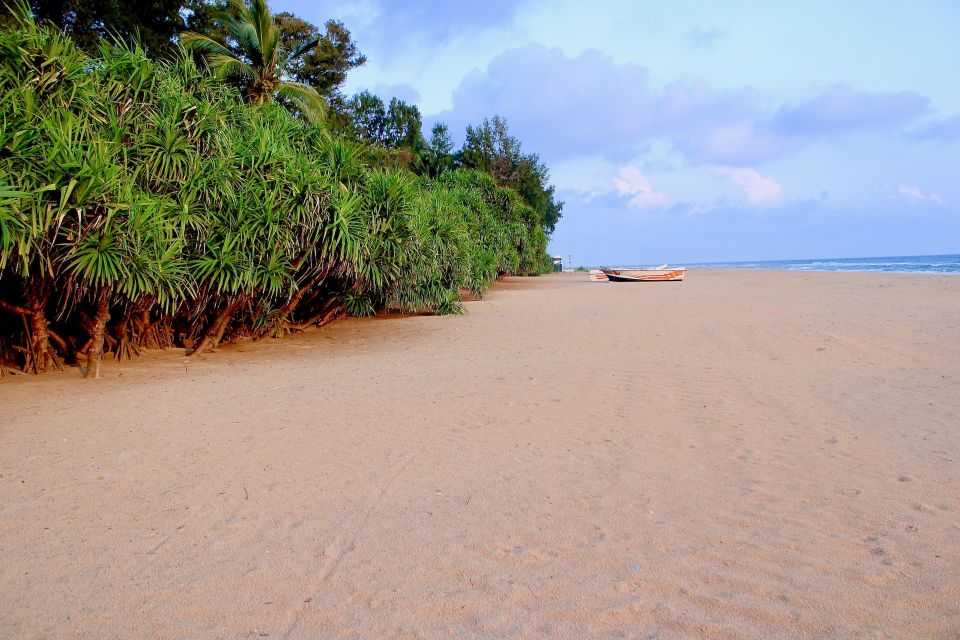 Surfing in Mount Lavinia - Booking Information for Surfing Experience