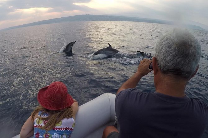 Sustainable Dolphin Watching Tour With Marine Biologist (Mar ) - Booking and Logistics