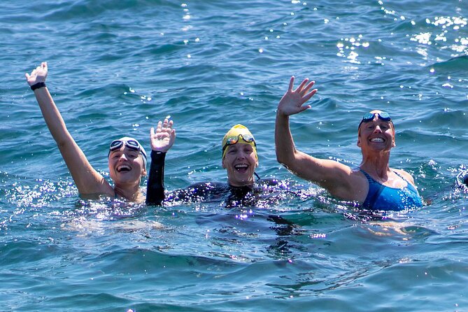 Swim With the Queen of the English Channel in New South Wales - What to Expect