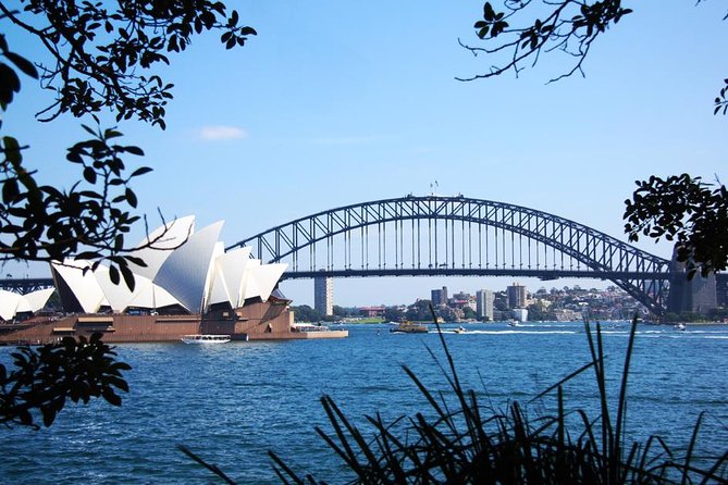 Sydney Half Day Private Tour: See Sydney Opera House and Bondi - Customer Reviews Overview