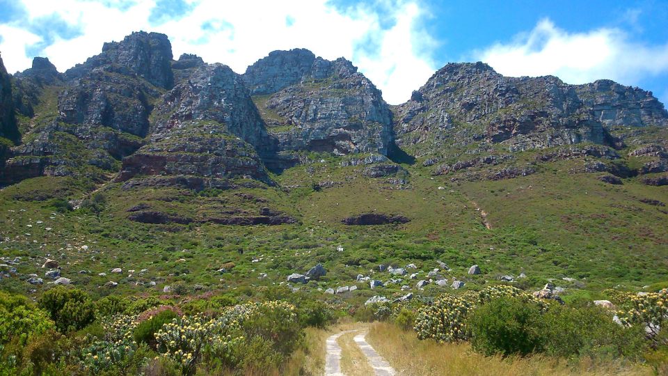 Table Mountain: Gentle Guided Meander for the Whole Family - Experience Highlights