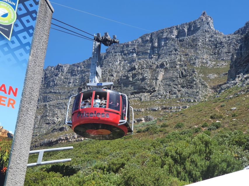 Table Mountain, Penguins & Cape of Good Hope Private Tour - Pickup and Location Details