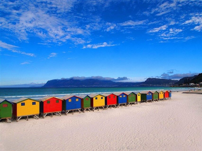 Table Mountain,Seals,Penguin,Cape of Good Hope,Bokaap , - Exploring Seals at St. James Beach