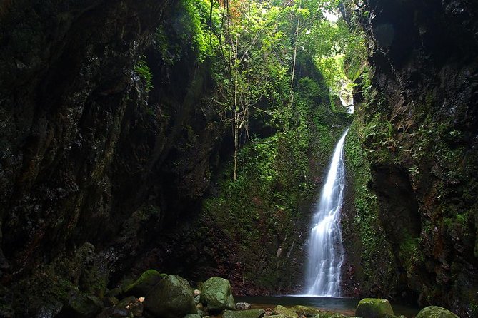 Tai Mo Shan Waterfall Adventure Hike - Customer Feedback and Reviews