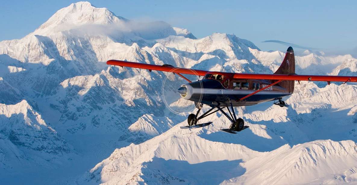 Talkeetna: Denali Southside Explorer Scenic Air Tour - Booking Flexibility and Gift Option