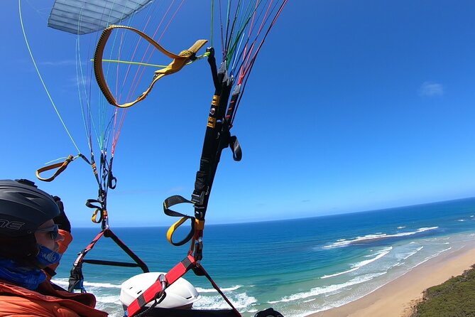 Tandem Paragliding Melbourne & Bells Beach - Tour/Activity Details