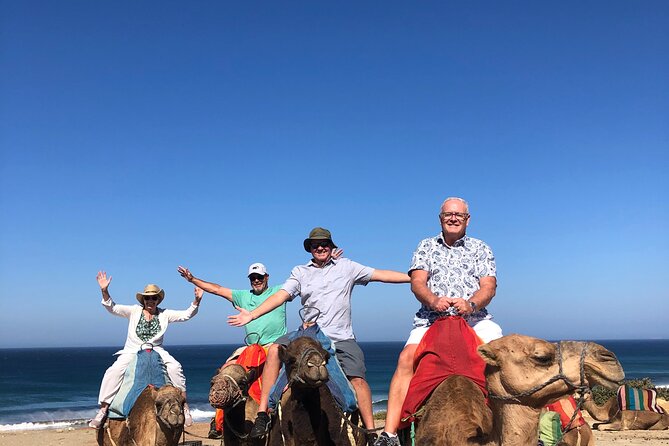 Tangier Day Trip :Old Medina&Kasbah , Caves & Camel Ride Included - Exploring the Old Medina & Kasbah