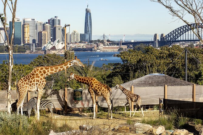 Taronga Zoo Sydney Harbour Hopper Combo Passes - Traveler Photos