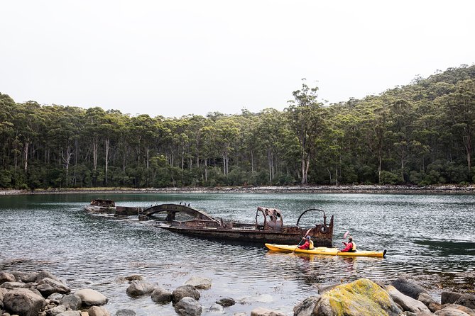 Tasman Peninsula Full Day Kayaking Tour - Booking Requirements