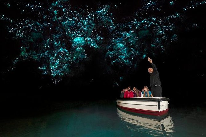 Tauranga Shore Excursion: Waitomo Caves and The Kiwi House - Logistics and Pickup Information