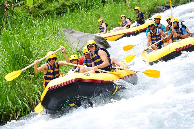 Telaga Waja White Water Rafting - With No Step or Stair : Bali Best Adventures - Traveler Experience and Reviews