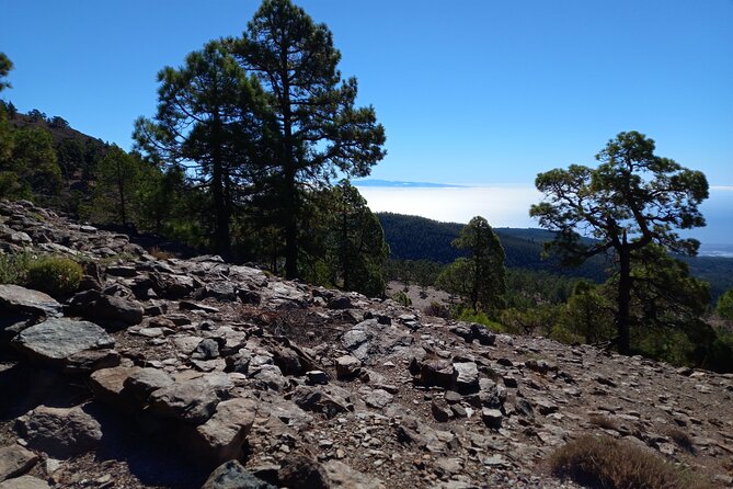 Tenerife Guided Hiking Tour (Mar ) - Meeting and Pickup Points