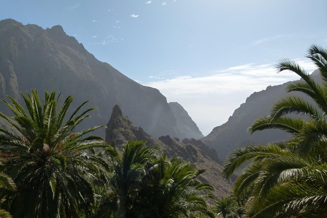 Tenerife Highlights Full-Day Tour - Expert Guided Sightseeing