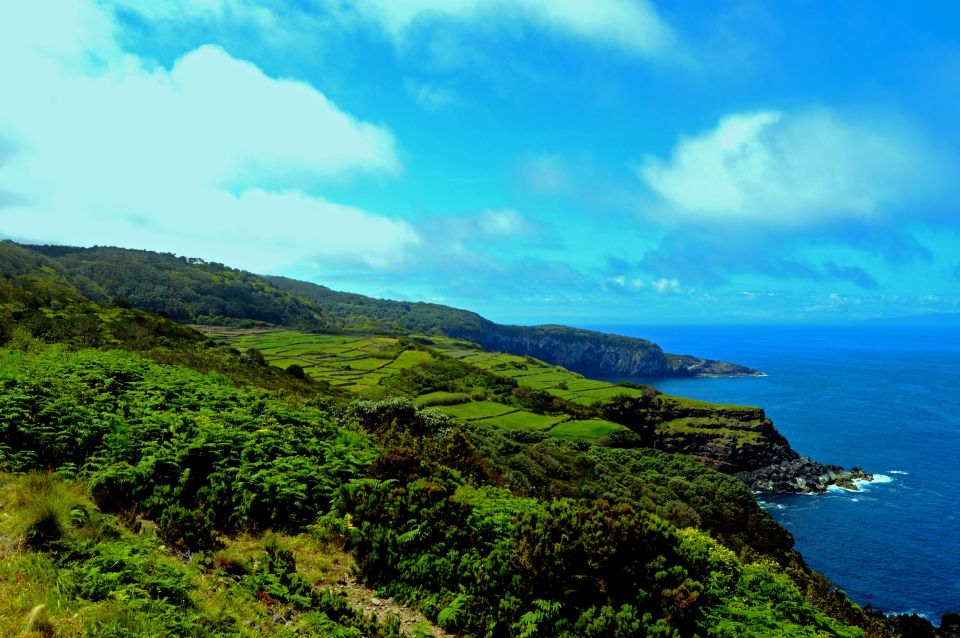 Terceira: Half-Day Island Tour With Cheese Tasting - Tour Experience