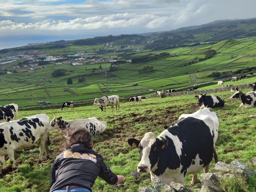 Terceira - Private Group - Half Day Guided Bus Tour - Experience Highlights