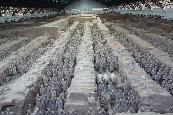 Terra-Cotta Warriors & Horses Essential Full Day Tour From Xian - Booking and Logistics