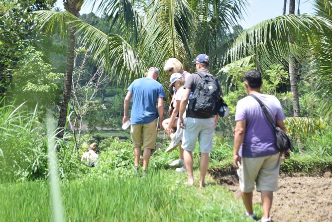 Tetebatu Walking Tour - Rice Terraces, Waterfall & Monkey Forest - Reviews and Ratings