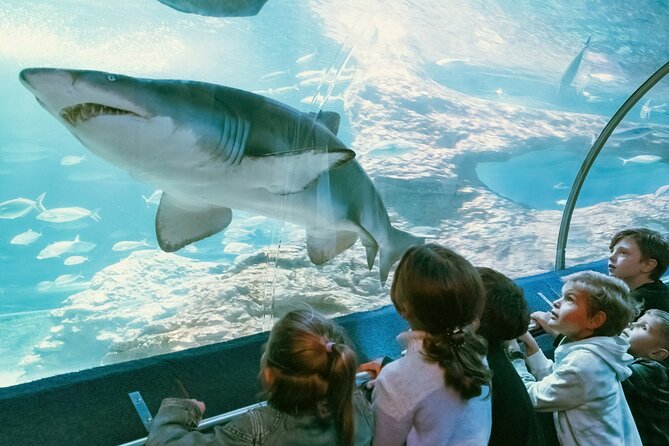 The Aquarium of Western Australia General Admission Ticket  - Perth - Interactive Experiences for Visitors