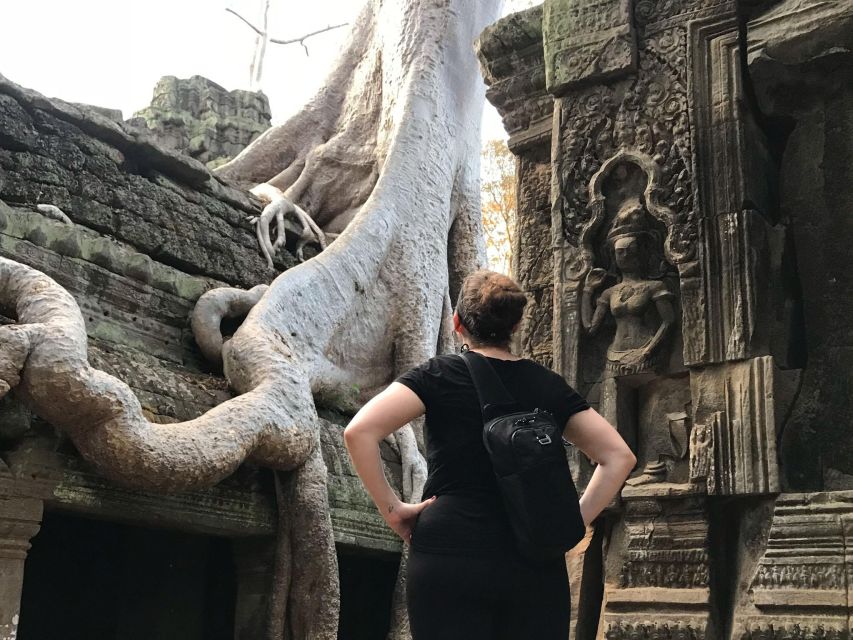 The Best of Angkor Temples Private Tour 2 Days - Temple Highlights and Insights
