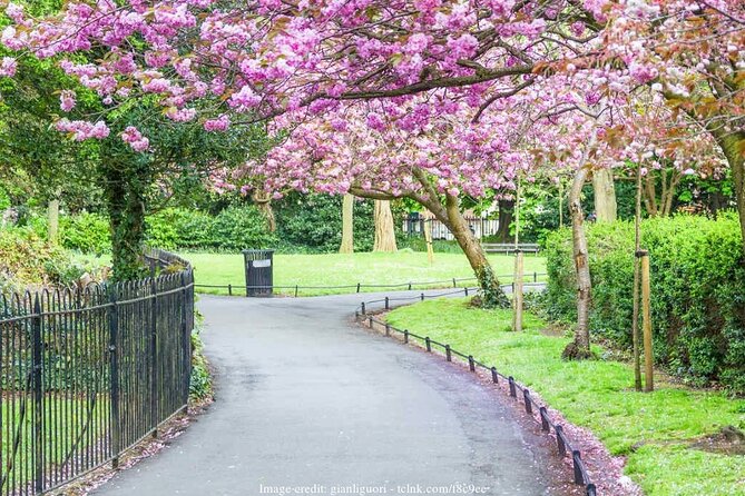 The Best of Dublin Including Trinity College: Private Tour - Customizable Private Tour Options