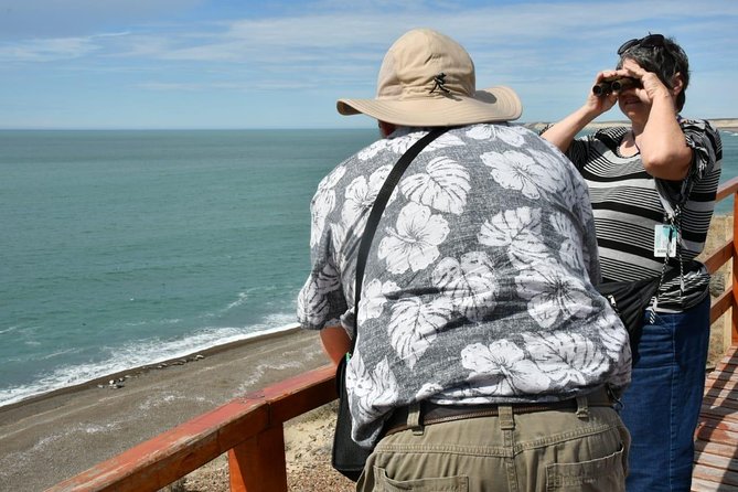 The Best of Peninsula Valdés in One Day - Wildlife Watching Opportunities