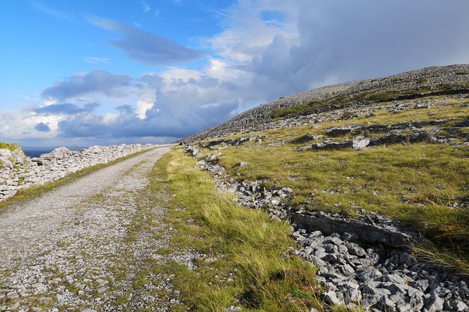 The Burren and Cliffs of Moher Full Day Private Tour From Galway - Start Time and Pickup Points
